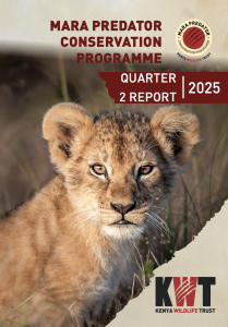 thumbnail of MPCP Q2 2025